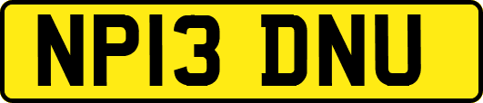 NP13DNU