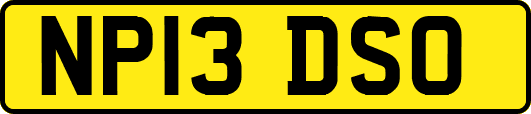 NP13DSO