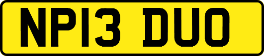 NP13DUO