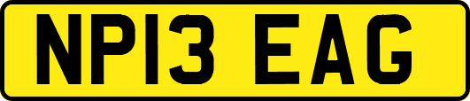 NP13EAG