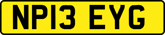 NP13EYG