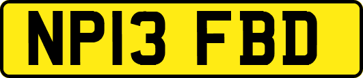 NP13FBD