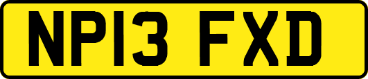 NP13FXD