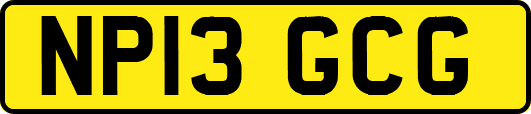 NP13GCG