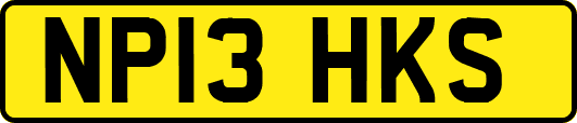 NP13HKS