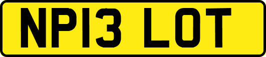 NP13LOT