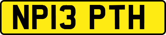 NP13PTH