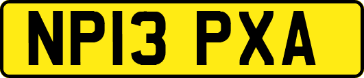 NP13PXA