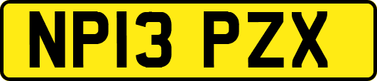 NP13PZX
