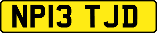 NP13TJD