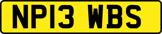 NP13WBS