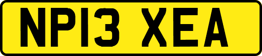 NP13XEA