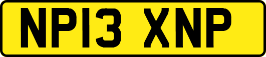 NP13XNP