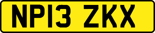 NP13ZKX