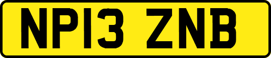 NP13ZNB