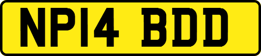 NP14BDD
