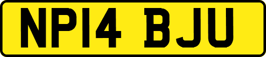NP14BJU