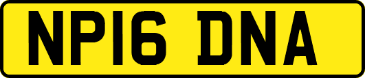 NP16DNA