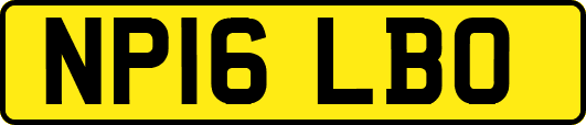 NP16LBO