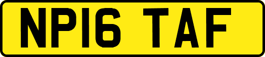 NP16TAF