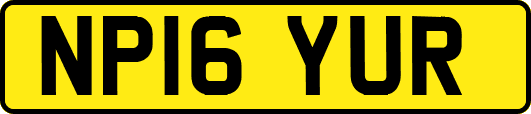 NP16YUR