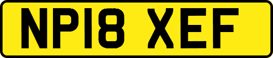 NP18XEF