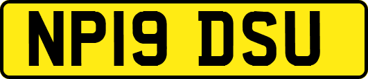 NP19DSU