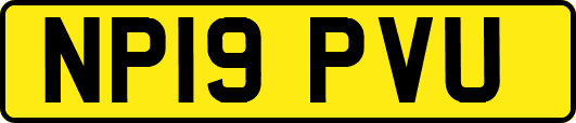 NP19PVU