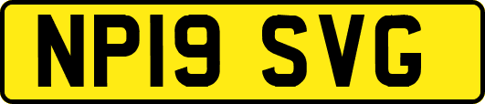 NP19SVG