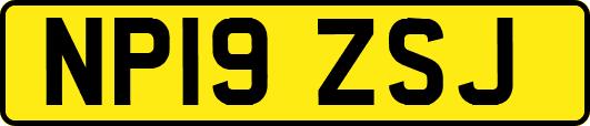 NP19ZSJ