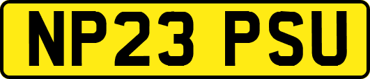NP23PSU