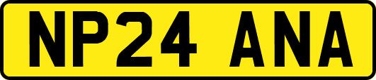 NP24ANA