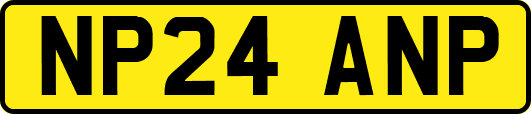NP24ANP