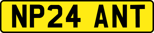 NP24ANT