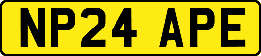NP24APE