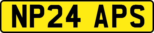 NP24APS