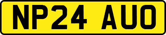 NP24AUO
