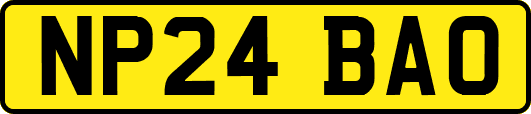 NP24BAO