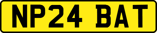 NP24BAT