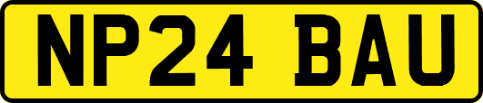 NP24BAU