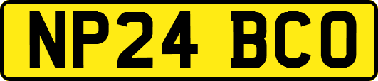 NP24BCO