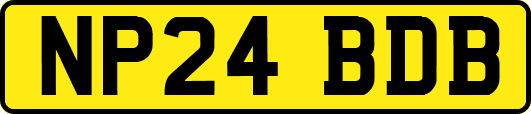 NP24BDB