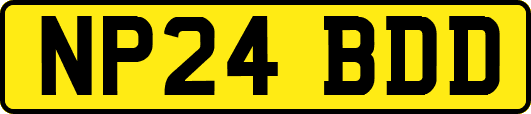 NP24BDD