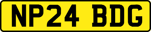 NP24BDG