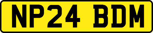 NP24BDM
