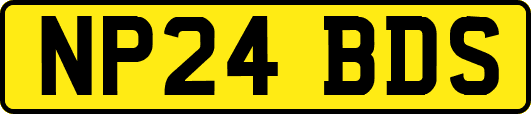 NP24BDS