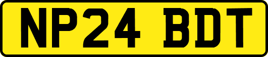 NP24BDT