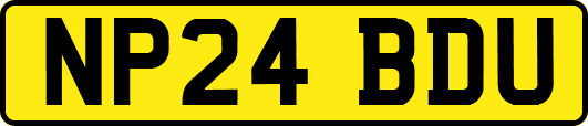 NP24BDU