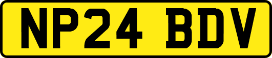 NP24BDV