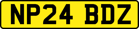 NP24BDZ